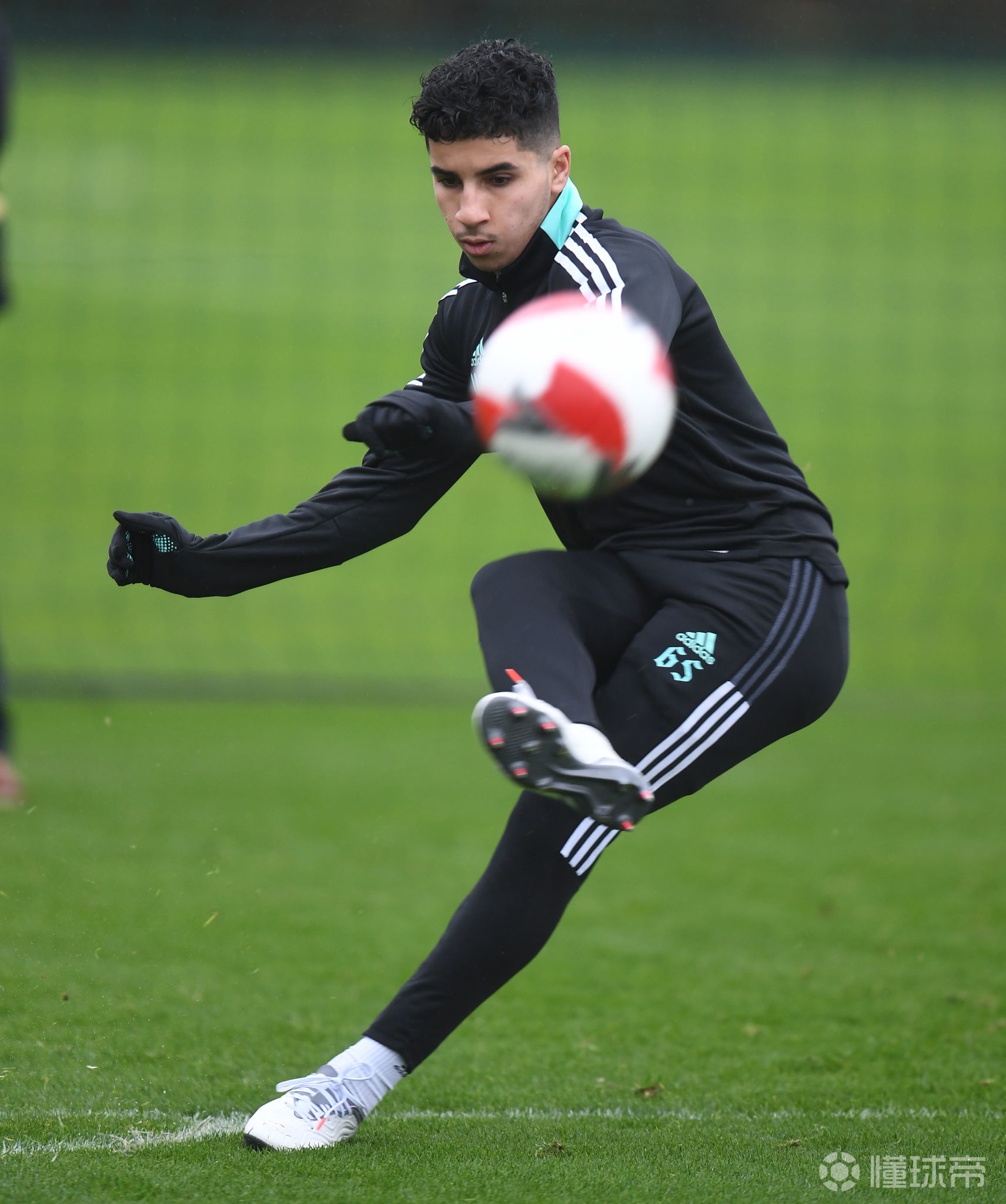 开云中国官网-关于转会期多伦多猛龙备战足总杯，外线爆发细节曝光，震撼外界，高层口径保持一致的信息